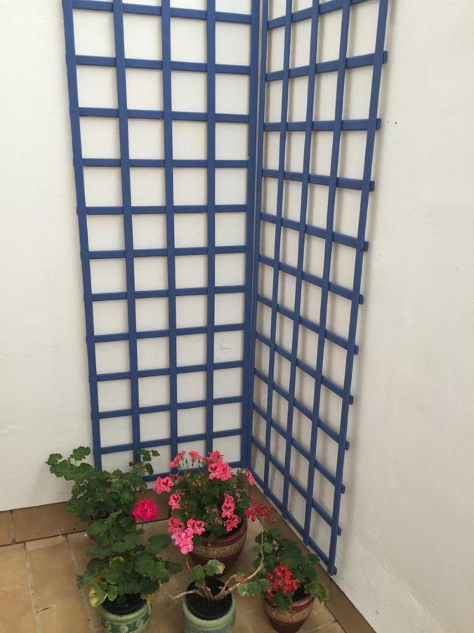 Apartamento Balneario Playa Caleta Cádiz Kültér fotó